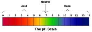 The pH Scale